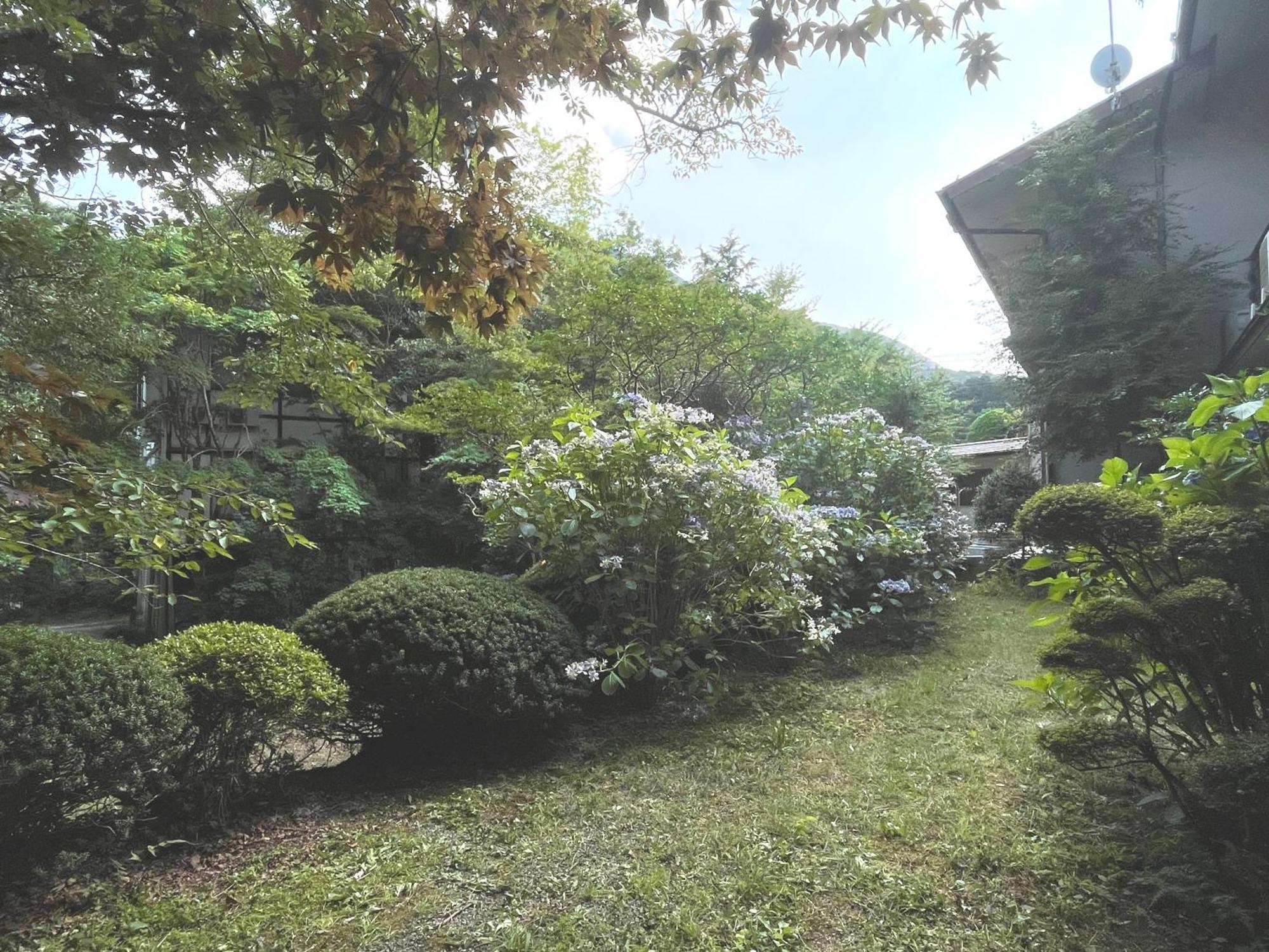 Mitake Hotel Hakone Bagian luar foto